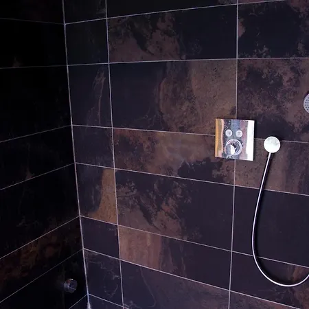 住宿加早餐酒店 Schopenhauer 根特