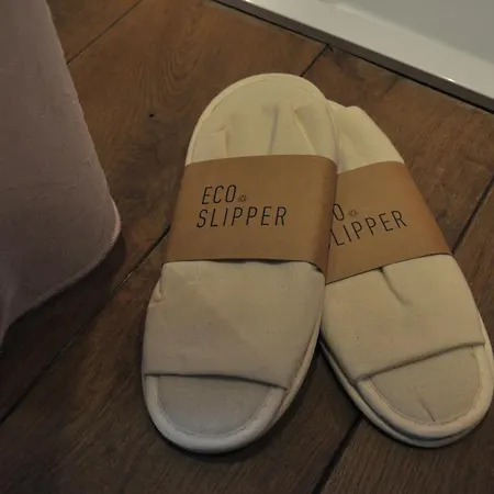 Schopenhauer Gante