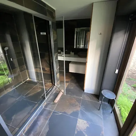 Schopenhauer 4*