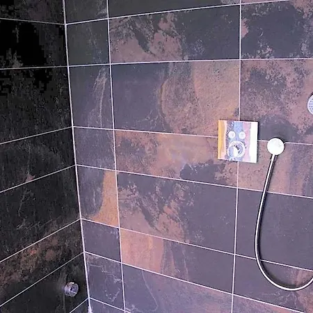 Schopenhauer 4* Gante